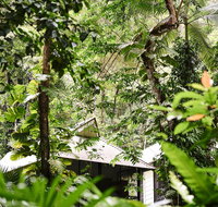 Daintree Ecolodge - Accommodation Port Macquarie