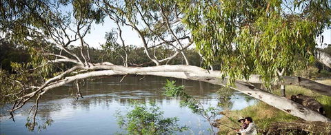 Hay Caravan Park - Accommodation Port Macquarie 1