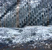 High Peaks Cottages - Accommodation Port Macquarie
