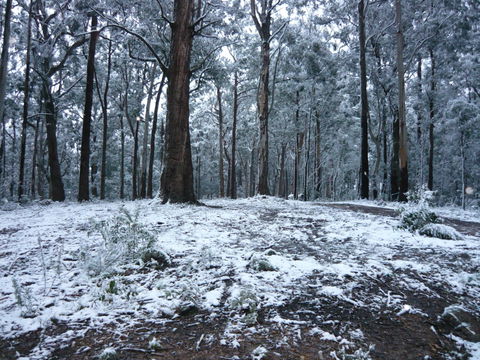 High Peaks Cottages - Accommodation Port Macquarie 0