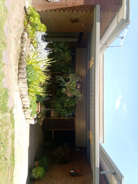 Hilltop Escape B&B - Accommodation Port Macquarie 0