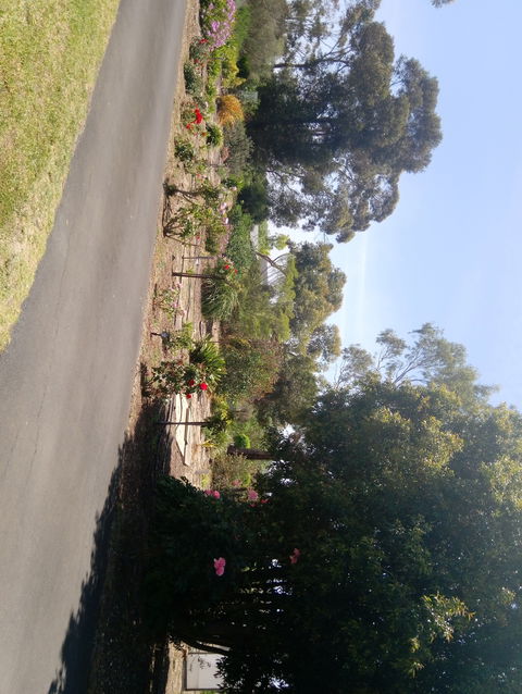 Hilltop Escape B&B - Accommodation Port Macquarie 1
