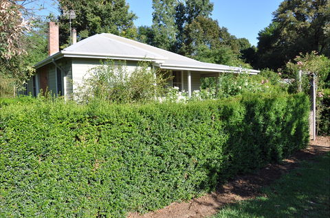 Honeysuckle Cottage - Accommodation Port Macquarie 1
