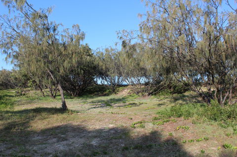 K'gari (Fraser Island) Camping, Great Sandy National Park - Accommodation Port Macquarie 1