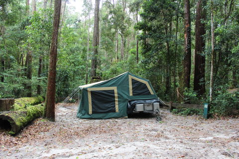 K'gari (Fraser Island) Camping, Great Sandy National Park - Accommodation Port Macquarie 2