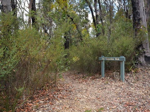 Murphys Glen Campground - Accommodation Port Macquarie 2
