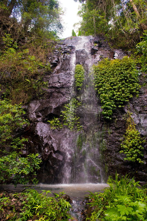 Nimbin Waterfall Retreat - Accommodation Port Macquarie 0