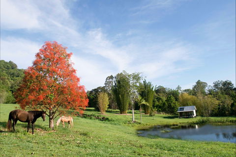 Nimbin Waterfall Retreat - Accommodation Port Macquarie 1