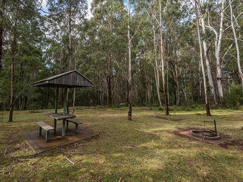 Nunnock Campground - Accommodation Port Macquarie 1