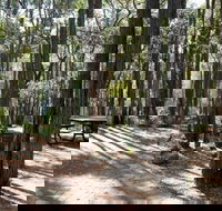 Perth Hills Centre Campground at Beelu National Park - Accommodation Port Macquarie