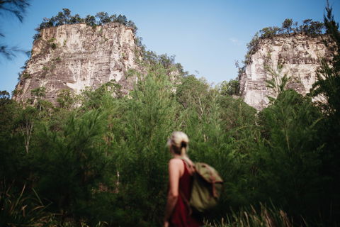 Sandstone Park Carnarvon Gorge - Accommodation Port Macquarie 0