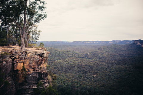 Sandstone Park Carnarvon Gorge - Accommodation Port Macquarie 1