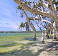 Shoal Cape Camp at Stokes National Park