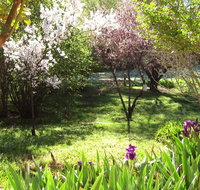 Sofala Cottage - Accommodation Port Macquarie