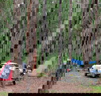 Wallingat River campground - Accommodation Port Macquarie