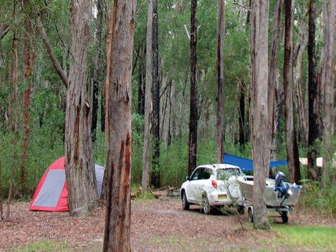 Wallingat River Campground - Accommodation Port Macquarie 0