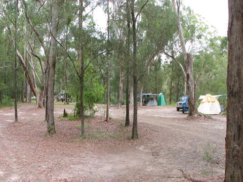 Wallingat River Campground - Accommodation Port Macquarie 1
