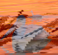 4 Pelican Court - River Shack Rentals - Accommodation Port Macquarie