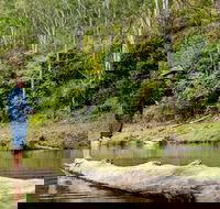 Bass Lodge - Accommodation Port Macquarie