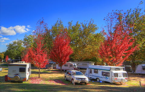 Beechworth Lake Sambell Caravan Park - Accommodation Port Macquarie 0