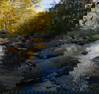 Cave Rock Cottages - Accommodation Port Macquarie