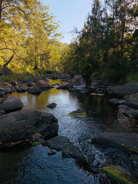 Cave Rock Cottages - Accommodation Port Macquarie 0