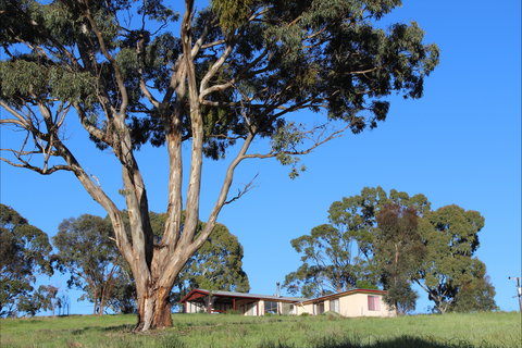 Clare View Accommodation - Clare View Cottage - Accommodation Port Macquarie 2