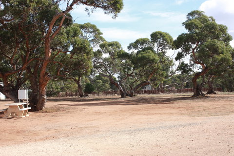 Cleve Showgrounds RV Park - Accommodation Port Macquarie 1