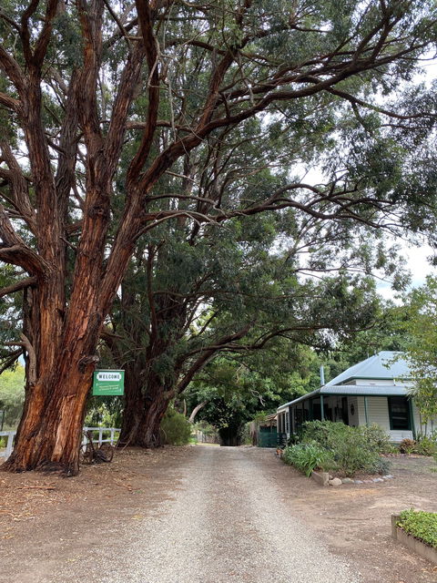 Fernleigh Accommodation - Accommodation Port Macquarie 0