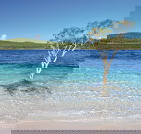 Fraser Island Fishing Units - Accommodation Port Macquarie