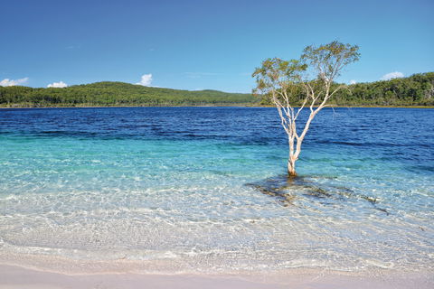 Fraser Island Fishing Units - Accommodation Port Macquarie 0