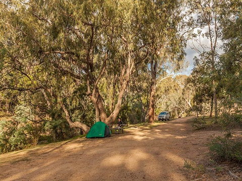 Jacobs River Campground - Accommodation Port Macquarie 0