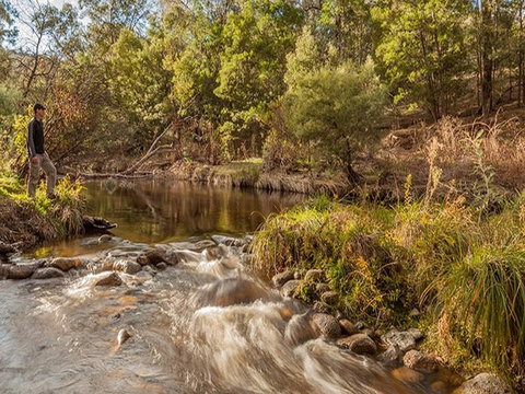 Jacobs River Campground - Accommodation Port Macquarie 2
