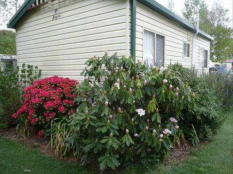 Jenolan Caravan Park - Accommodation Port Macquarie 0