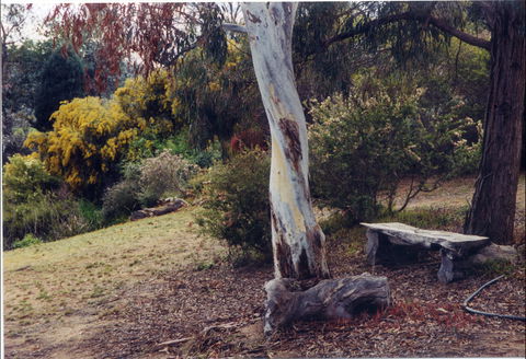 Kurringai Cottage - Accommodation Port Macquarie 1
