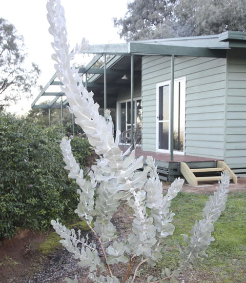Kurringai Cottage - Accommodation Port Macquarie 2