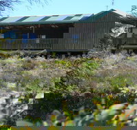 Melaleuca - Eco and Pet Friendly  Harbor Point Cabins - Accommodation Port Macquarie