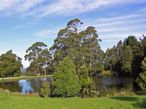 Newry Park Cottage - Accommodation Port Macquarie 1