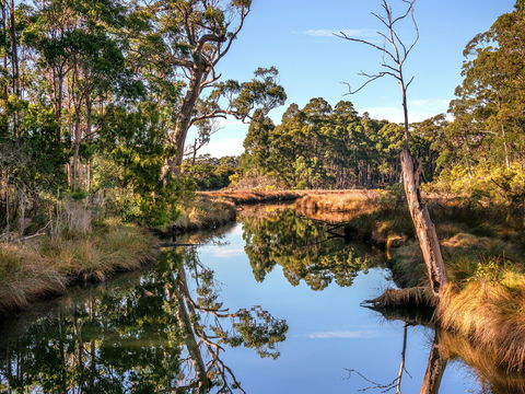 Saintys Creek Cottage - Accommodation Port Macquarie 1