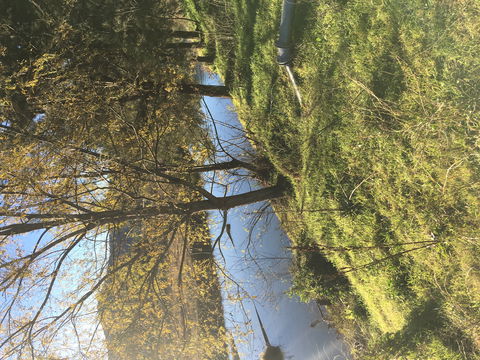 The Old Dairy At Baerami - Accommodation Port Macquarie 1