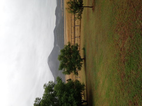 The Old Dairy At Baerami - Accommodation Port Macquarie 2