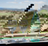 Tranquil Vale Vineyard - Accommodation Port Macquarie