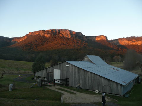 Woolshed Cabins - Accommodation Port Macquarie 2