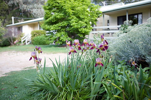 Annies Holiday Units - Accommodation Port Macquarie 2