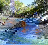 Big4 Aussie Outback Oasis Holiday Park - Accommodation Port Macquarie