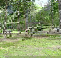 Broadwater camping area Abergowrie State Forest - Accommodation Port Macquarie