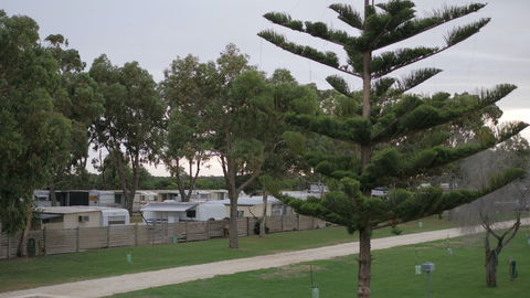 Cape Jaffa Caravan Park - Accommodation Port Macquarie 2