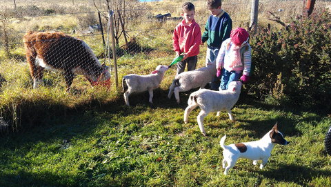 Dairy Park Farm Stay Bed And Breakfast - Accommodation Port Macquarie 2