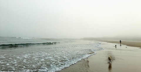 Drift Beach Shack - Accommodation Port Macquarie 0