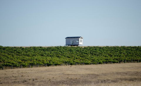 Hounds Run Vineyard - Accommodation Port Macquarie 0